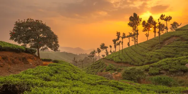 Kerala Tour Package