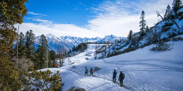 manali tour package