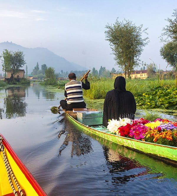 Kashmir Bliss