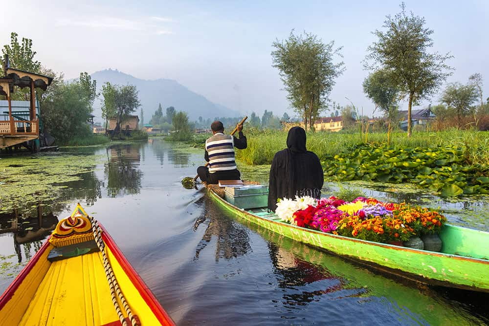 Kashmir Bliss