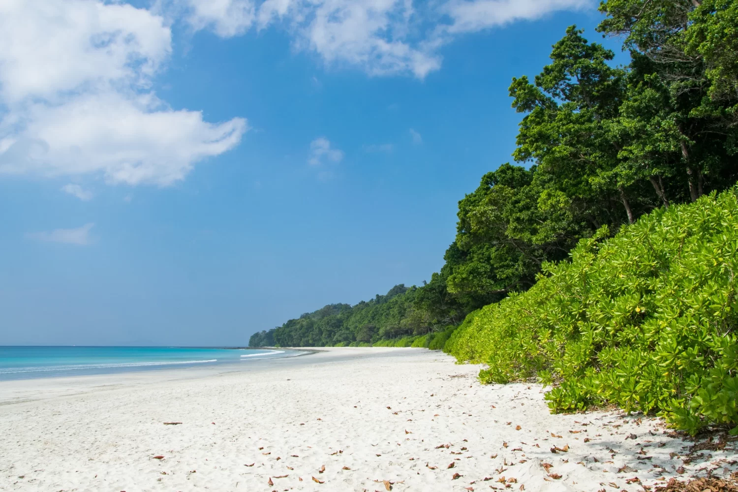 Andaman-ieland