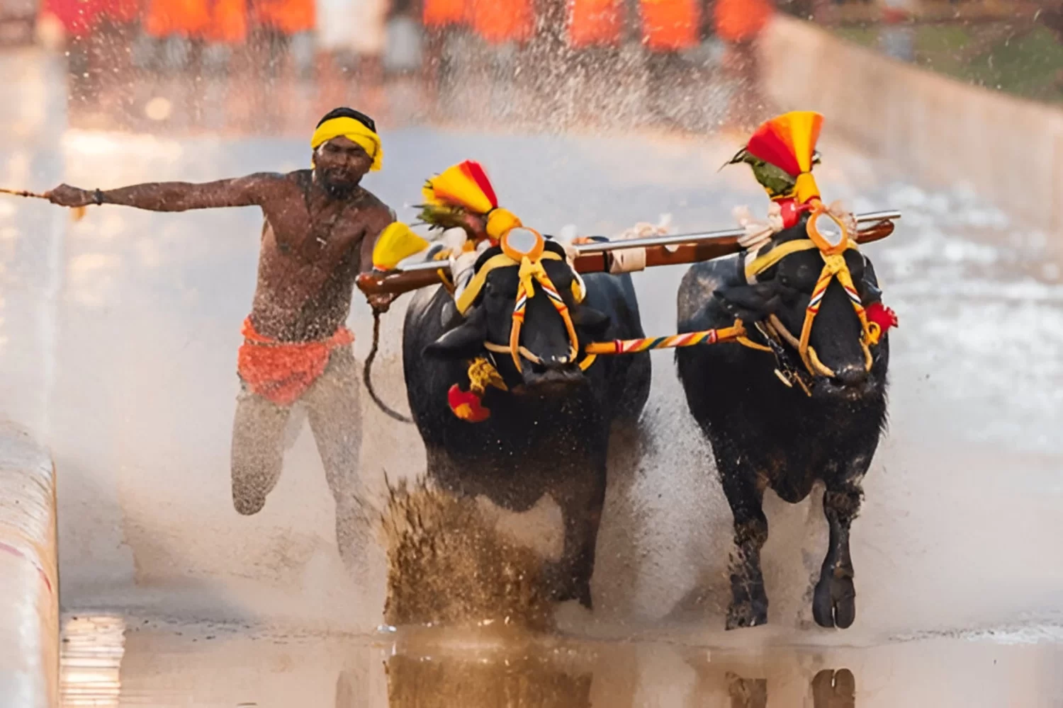 mangalore-karnataka