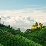 Kerala-Munnar-Tour-Package
