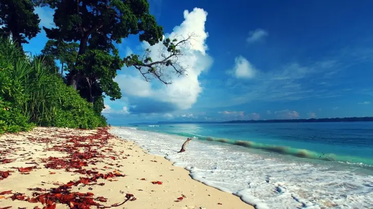Andaman Budget Tour Packages