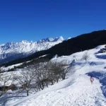 auli tour packages